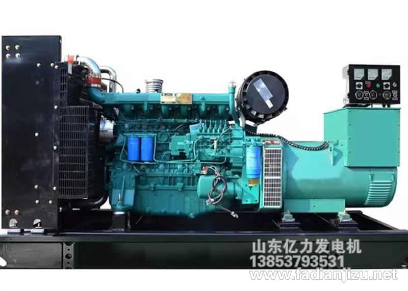 濰柴300KW2.jpg